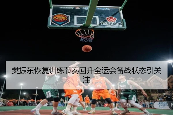 樊振东恢复训练节奏回升全运会备战状态引关注